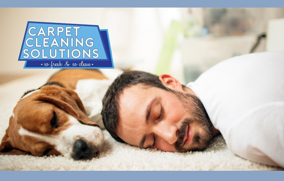 Carpet Cleaning Solutions - So Clean Carpet Solutions